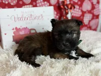 processed/32e1c3c2-e44c-4819-b04c-f9f2f57c9c1b/listing/100602b3-d9d6-4ad0-8f7f-1e446037c00f/83a52e5c-8b46-4420-9991-5a09103ce404