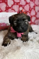 processed/32e1c3c2-e44c-4819-b04c-f9f2f57c9c1b/listing/5430e2a3-3f70-4491-8549-885d4389b331/1201dd3c-58d3-4587-a551-4e68ee41cc62