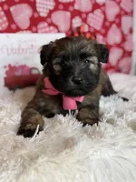 processed/32e1c3c2-e44c-4819-b04c-f9f2f57c9c1b/listing/5430e2a3-3f70-4491-8549-885d4389b331/45569bd8-bd1a-49c3-a5d9-e822648eccf2