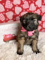 processed/32e1c3c2-e44c-4819-b04c-f9f2f57c9c1b/listing/5430e2a3-3f70-4491-8549-885d4389b331/737d82bd-875a-44ef-9261-4e80fb470d71