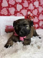 processed/32e1c3c2-e44c-4819-b04c-f9f2f57c9c1b/listing/5430e2a3-3f70-4491-8549-885d4389b331/94b8ed5d-5ba2-4957-b76b-f39a1dc79b89