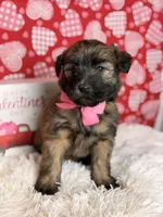 processed/32e1c3c2-e44c-4819-b04c-f9f2f57c9c1b/listing/5430e2a3-3f70-4491-8549-885d4389b331/c3f17bf7-3a7b-477c-89ec-88f51b494bda