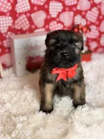 processed/32e1c3c2-e44c-4819-b04c-f9f2f57c9c1b/listing/cb8f38da-74db-4a26-ab0c-c40497904120/6968b320-f352-4717-8fcf-512c17d73a49