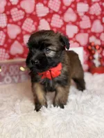 processed/32e1c3c2-e44c-4819-b04c-f9f2f57c9c1b/listing/cb8f38da-74db-4a26-ab0c-c40497904120/8c56b80b-dc6b-49b7-8fd1-7dfd5ab293e4