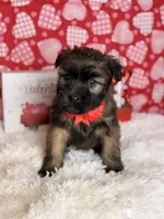 processed/32e1c3c2-e44c-4819-b04c-f9f2f57c9c1b/listing/cb8f38da-74db-4a26-ab0c-c40497904120/aca9d324-1efc-47cb-84fc-d757831ad271