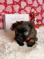 processed/32e1c3c2-e44c-4819-b04c-f9f2f57c9c1b/listing/cb8f38da-74db-4a26-ab0c-c40497904120/b73dfcbd-a1a6-4e59-8669-25cb6cbfa4bb