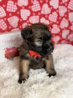 processed/32e1c3c2-e44c-4819-b04c-f9f2f57c9c1b/listing/cb8f38da-74db-4a26-ab0c-c40497904120/b86d2272-e4f1-4159-bf81-09a79f4a9424