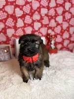 processed/32e1c3c2-e44c-4819-b04c-f9f2f57c9c1b/listing/cb8f38da-74db-4a26-ab0c-c40497904120/ba76d9a3-3edf-4586-9ef6-c888b5e3b990