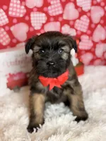 processed/32e1c3c2-e44c-4819-b04c-f9f2f57c9c1b/listing/cb8f38da-74db-4a26-ab0c-c40497904120/c4eefdc7-f16d-449f-b4d6-487f72029b49