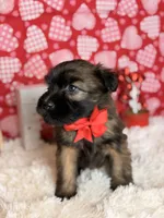 processed/32e1c3c2-e44c-4819-b04c-f9f2f57c9c1b/listing/cb8f38da-74db-4a26-ab0c-c40497904120/c90193a8-7b15-4ef5-a5ad-8e6a85c5f2f4