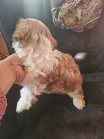 processed/32e76077-723f-40b2-aa1a-aab5e64a38a0/listing/72b30c9a-da92-4f01-89dd-e51c2675c12c/5b55b180-8e01-475d-9e36-4c47dc9f9493