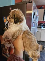 processed/32e76077-723f-40b2-aa1a-aab5e64a38a0/listing/72b30c9a-da92-4f01-89dd-e51c2675c12c/86765427-d0c4-423b-8e7c-7b935205f061