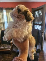 processed/32e76077-723f-40b2-aa1a-aab5e64a38a0/listing/72b30c9a-da92-4f01-89dd-e51c2675c12c/a06a9a0a-9acb-4e17-9417-214b2801fc09