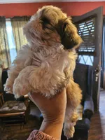 processed/32e76077-723f-40b2-aa1a-aab5e64a38a0/listing/72b30c9a-da92-4f01-89dd-e51c2675c12c/a60eefba-a032-4feb-8c0d-18c6e16525c4