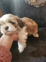 processed/32e76077-723f-40b2-aa1a-aab5e64a38a0/listing/72b30c9a-da92-4f01-89dd-e51c2675c12c/adea3f11-fa00-4b3a-bef4-22c76ded11a5