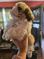 processed/32e76077-723f-40b2-aa1a-aab5e64a38a0/listing/72b30c9a-da92-4f01-89dd-e51c2675c12c/c51f7b4c-78a6-4ee6-965e-be2c8e14d40f