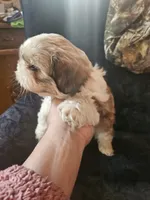 processed/32e76077-723f-40b2-aa1a-aab5e64a38a0/listing/72b30c9a-da92-4f01-89dd-e51c2675c12c/c8bcbe0e-6fd1-49cb-8178-beb3269fe4f3