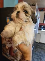 processed/32e76077-723f-40b2-aa1a-aab5e64a38a0/listing/72b30c9a-da92-4f01-89dd-e51c2675c12c/e54605b5-5d7e-4e9b-a9bd-62d2ccbaaaa7