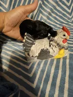 Expresso , a male Shih Tzu for sale in Diamond, MO – Photo 2 of 10