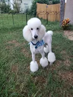 processed/32eac004-4ea8-4d50-9921-654b548ff83a/facility/f2c9c244-965c-41e1-a5c3-c994ea0921d5