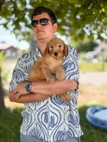 Yellow collar , a male Goldendoodle for sale in Spokane, WA – 2 of 8