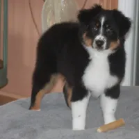 processed/32f521e1-480d-45d9-8b5f-be2b953e9267/facility/fd0dfdf5-8ecd-4b54-b765-a889961906aa