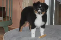 processed/32f521e1-480d-45d9-8b5f-be2b953e9267/facility/fd0dfdf5-8ecd-4b54-b765-a889961906aa