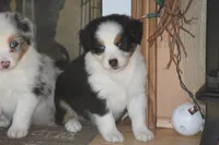 processed/32f521e1-480d-45d9-8b5f-be2b953e9267/listing/0cf59cac-b939-48f9-9058-40c0a4106fb4/2bf09df7-1e56-4565-abf0-eed4070fd163