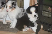 processed/32f521e1-480d-45d9-8b5f-be2b953e9267/listing/0cf59cac-b939-48f9-9058-40c0a4106fb4/2d20fad4-2ddb-41a9-9e5a-d872503d1a06