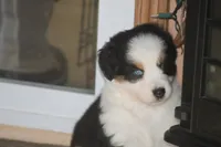 processed/32f521e1-480d-45d9-8b5f-be2b953e9267/listing/0cf59cac-b939-48f9-9058-40c0a4106fb4/5be0de73-ba50-4156-9487-d04a20c4a3b2