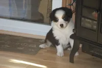 processed/32f521e1-480d-45d9-8b5f-be2b953e9267/listing/0cf59cac-b939-48f9-9058-40c0a4106fb4/ab07c054-6174-4d94-9f0c-e267a346bd0c