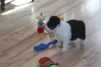 processed/32f521e1-480d-45d9-8b5f-be2b953e9267/listing/0cf59cac-b939-48f9-9058-40c0a4106fb4/dcdeeb48-e100-4c6b-8651-6ec74f2b576b