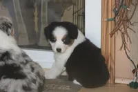 processed/32f521e1-480d-45d9-8b5f-be2b953e9267/listing/0cf59cac-b939-48f9-9058-40c0a4106fb4/e2d2a536-e0d3-4761-9c2a-fcaaf644387d