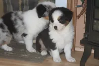 processed/32f521e1-480d-45d9-8b5f-be2b953e9267/listing/0cf59cac-b939-48f9-9058-40c0a4106fb4/e665a9d1-791a-4760-9b1b-0b79e6430ed7