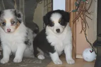 processed/32f521e1-480d-45d9-8b5f-be2b953e9267/listing/0cf59cac-b939-48f9-9058-40c0a4106fb4/f2621a87-f006-4f89-b4a0-e699d7af70ec