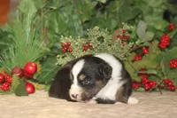 processed/32f521e1-480d-45d9-8b5f-be2b953e9267/listing/7298ebf7-64fe-4aa7-baa3-6df2676ea844/5c5d0f04-190b-43d3-953e-45a91a439012