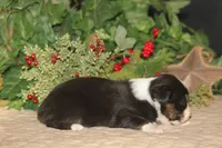 processed/32f521e1-480d-45d9-8b5f-be2b953e9267/listing/7298ebf7-64fe-4aa7-baa3-6df2676ea844/71a70d8d-8800-4ede-a912-b839b0e49839