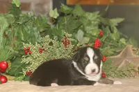 processed/32f521e1-480d-45d9-8b5f-be2b953e9267/listing/7298ebf7-64fe-4aa7-baa3-6df2676ea844/bb6252ed-07ac-49f4-b3b1-41d9cf561890