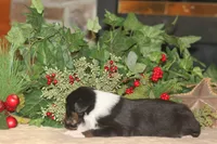 processed/32f521e1-480d-45d9-8b5f-be2b953e9267/listing/7298ebf7-64fe-4aa7-baa3-6df2676ea844/c067cd22-3161-4f27-8a02-26f6bd87aad3