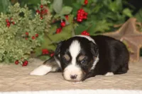 processed/32f521e1-480d-45d9-8b5f-be2b953e9267/listing/7298ebf7-64fe-4aa7-baa3-6df2676ea844/e0388650-5d34-47d5-89f9-63c5accd23cb