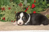 processed/32f521e1-480d-45d9-8b5f-be2b953e9267/listing/7298ebf7-64fe-4aa7-baa3-6df2676ea844/f0471828-f6a7-4c36-bdb0-df35c6c5ccc4