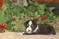 processed/32f521e1-480d-45d9-8b5f-be2b953e9267/listing/7298ebf7-64fe-4aa7-baa3-6df2676ea844/f8a43aec-71e4-4a67-9373-3c0f7cd076ef