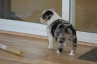 processed/32f521e1-480d-45d9-8b5f-be2b953e9267/listing/7a7cd50c-8679-4bf4-a878-fa98c9adf1ed/04356fd5-044c-49dc-a263-5de0879ed04e