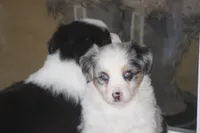 processed/32f521e1-480d-45d9-8b5f-be2b953e9267/listing/7a7cd50c-8679-4bf4-a878-fa98c9adf1ed/1ff8436d-258d-45ec-99fd-b99aa0e2ce1a