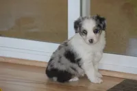 processed/32f521e1-480d-45d9-8b5f-be2b953e9267/listing/7a7cd50c-8679-4bf4-a878-fa98c9adf1ed/3e237dea-1a15-4d60-861d-b36f7d366e11