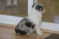 processed/32f521e1-480d-45d9-8b5f-be2b953e9267/listing/7a7cd50c-8679-4bf4-a878-fa98c9adf1ed/52010309-01e2-4da8-b89c-1882923525e6