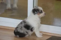 processed/32f521e1-480d-45d9-8b5f-be2b953e9267/listing/7a7cd50c-8679-4bf4-a878-fa98c9adf1ed/6884e70e-7627-4682-a164-ef9fa43569ca