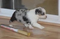 processed/32f521e1-480d-45d9-8b5f-be2b953e9267/listing/7a7cd50c-8679-4bf4-a878-fa98c9adf1ed/d0a344ab-d1c0-42c0-8683-df618216818c