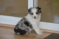 processed/32f521e1-480d-45d9-8b5f-be2b953e9267/listing/7a7cd50c-8679-4bf4-a878-fa98c9adf1ed/d721aeed-835f-4870-9503-7c3c6897625b