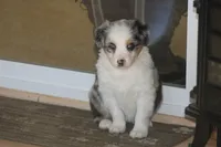 processed/32f521e1-480d-45d9-8b5f-be2b953e9267/listing/7a7cd50c-8679-4bf4-a878-fa98c9adf1ed/fa917cf4-a125-442c-9ee4-ecf6c2748edd